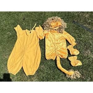 High Quality Baby Lion Costume 6mo Halloween Dress Up Comes With Extra!